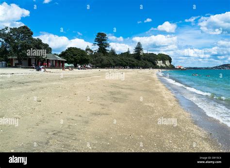 dh Mission Bay beach AUCKLAND NEW ZEALAND Sea gull and sand beach Stock ...