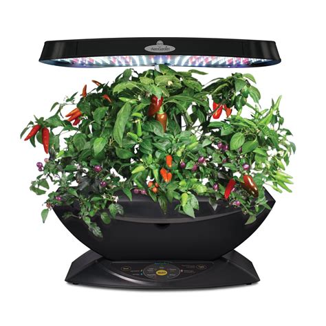 Indoor herb garden - deals on 1001 Blocks