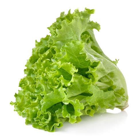 Lettuce - | Berry Mart