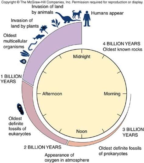 Origin of life a fluke? Study suggests more's at play than just randomness