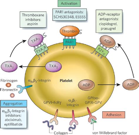 Antiplatelet drugs