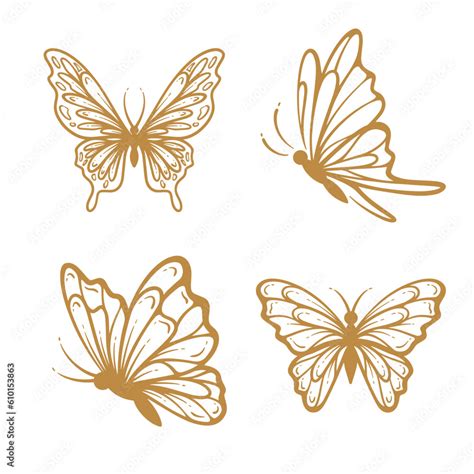 Set of butterfly line art clipart, outline hand drawn aesthetic butterfly illustration ...