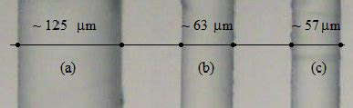 Scanning optical microscope images of the (a) fiber without chemical ...