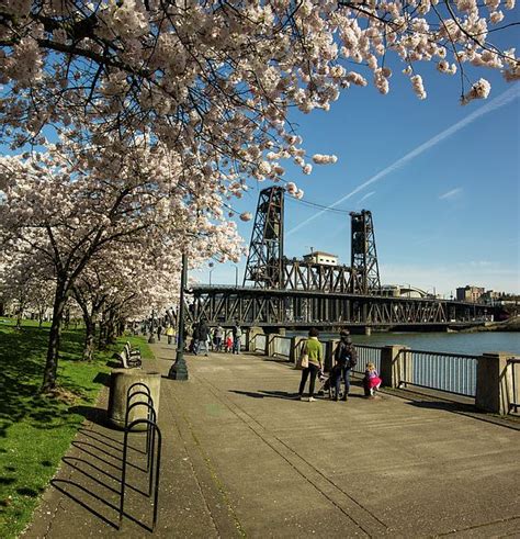 A street scene from Waterfront Park in Portland, Oregon. | Waterfront, Oregon, Street scenes