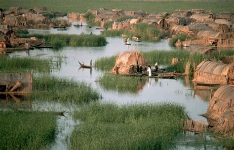 What does home look like now? The Marshes of Mesopotamia and sustainable academia – European ...