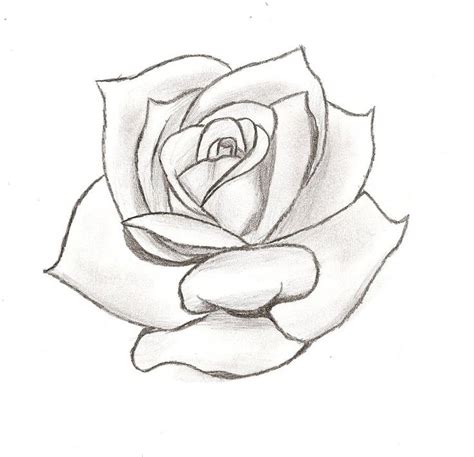 Outline Rose Sleeve Tattoo Stencil - Goimages U