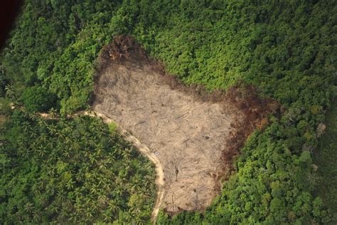 Deforestation Philippine Clearing House Mechanism