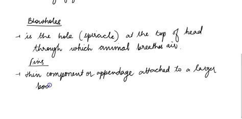 SOLVED: Open Ended Describe adaptations of an organism living in the abyssal zone of the ocean.