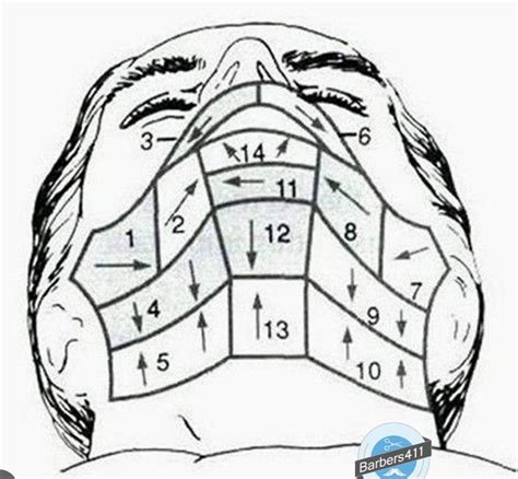 14 Step Shave Diagram | Quizlet