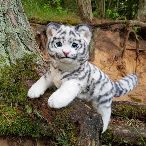 WHITE TIGER KITTEN - MIA by Anna Danilova | Tedsby