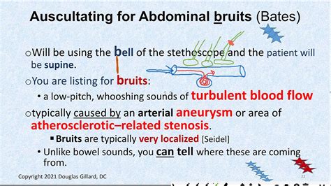 Auscultation of the Abdomen: Learn about General Abdominal Auscultation + How to Find Deadly ...