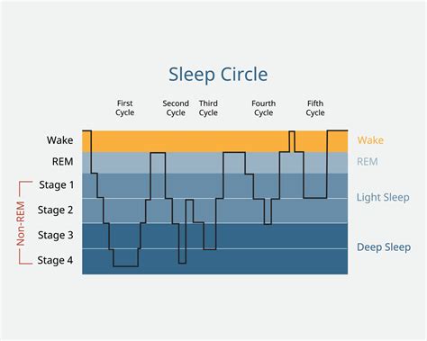 Behavioural Sciences: M05.06.01 Sleep Cycle