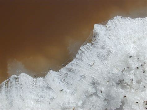 Salt Crystals | Salt Pond at Bayfront Park. Menlo Park, Cali… | Dawn Endico | Flickr