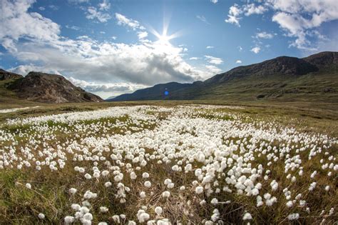 Greenland Travel Guide – An Overview of All Regions In Greenland