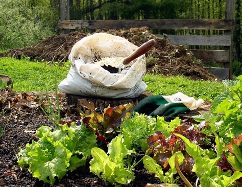 How to Start Start Composting in Your Garden – Better HouseKeeper