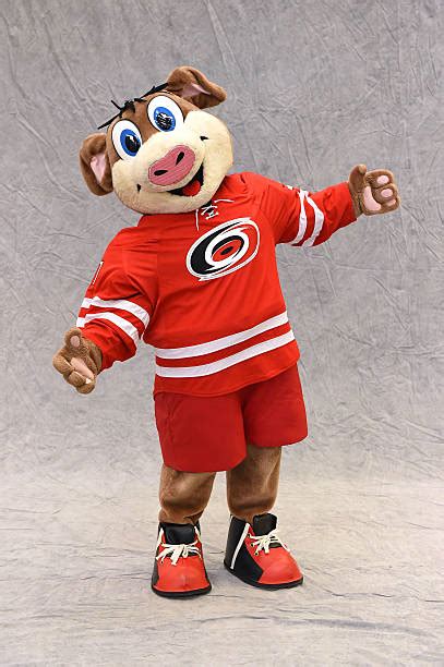 2015 NHL All-Star Weekend - Mascot Portraits Photos and Images | Getty ...