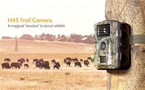 APEMAN H45 Wildlife Camera – Apeman UK