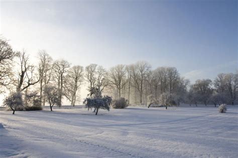 Ontario Winter Meadow – DreamBackgrounds