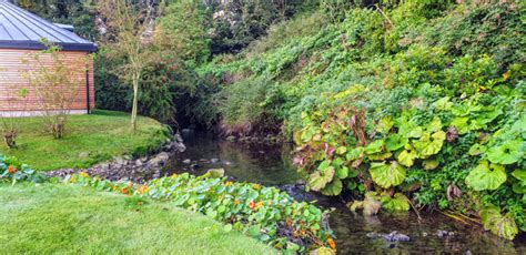 Ballygally Castle Hotel, Northern Ireland - Review - Roaming Required