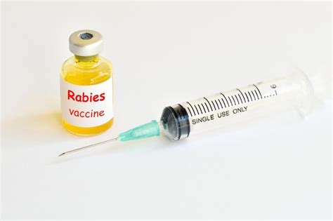 Premium Photo | Rabies virus vaccine