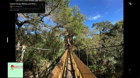 Sightings: The Myakka River State Park Skunk Ape and Where To Find Them In The Myakka Watershed ...