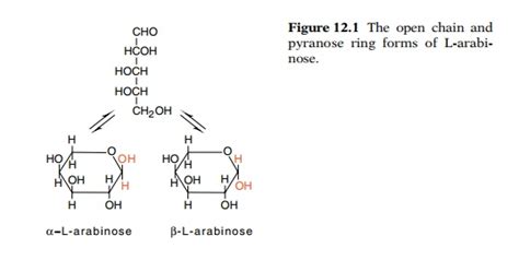 Sugar Arabinose and Arabinose Metabolism