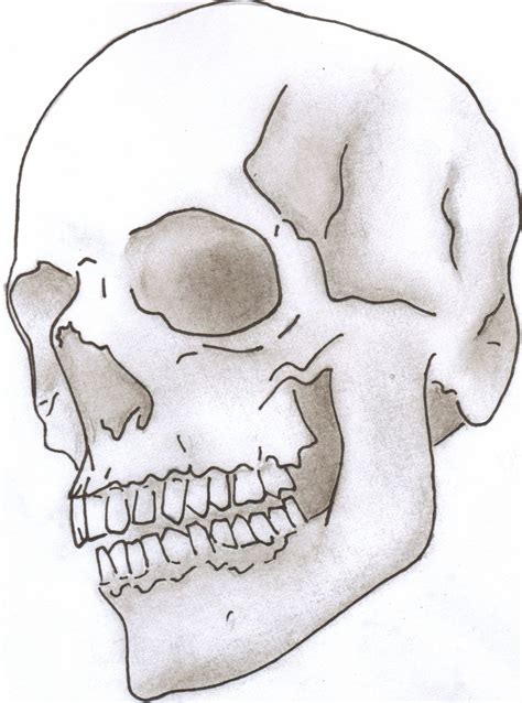 skull drawing - Google Search | 100 Things Drawing Challenge | Pinterest | Drawing challenge and ...