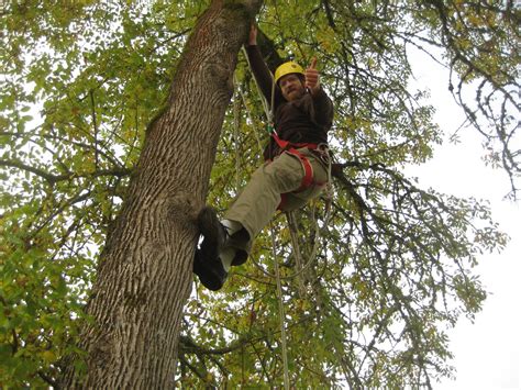 Living on a Finite Planet: Tree Climbing