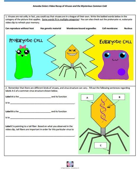 Amoeba Sisters Cells Worksheet