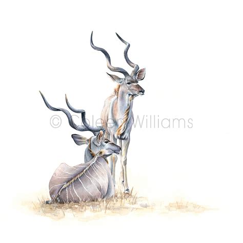 Antelope Squares - Kudu (Print) | Art by Coleen Williams