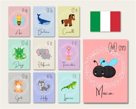 ITALIAN Alphabet ABC Animal Flashcards Montessori Flash - Etsy Australia