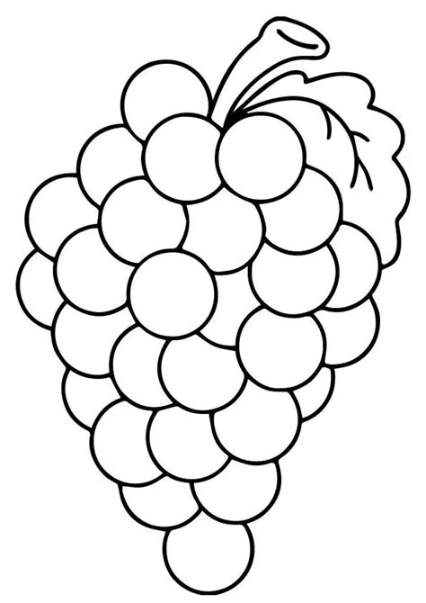 Coloring Page | Fruit coloring pages, Coloring pages, Grape drawing