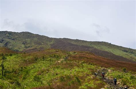 Mount Cameroon | | Alluring World