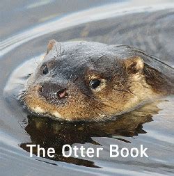 The Otter Book - New Welsh Review