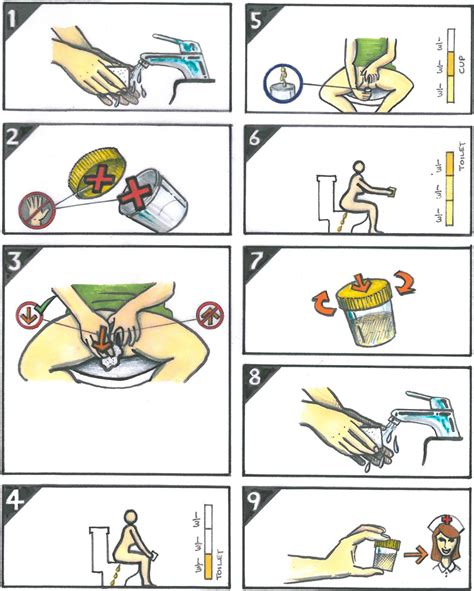 Illustrations reduce contamination of midstream urine samples in the emergency department ...