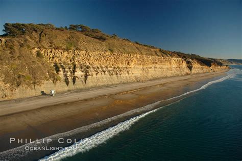 Torrey Pines State Reserve – Natural History Photography Blog