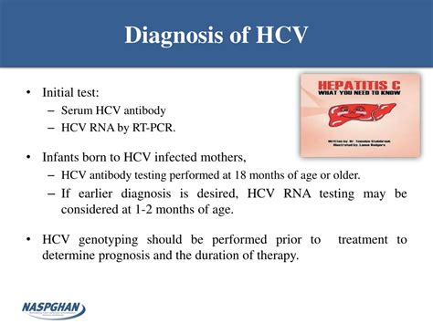 PPT - Viral Hepatitis PowerPoint Presentation, free download - ID:1069798