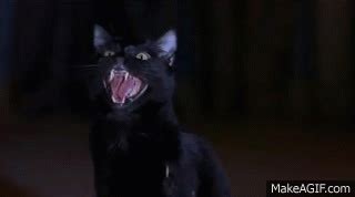 Scary Movie 2 Cindy VS Black Cat on Make a GIF