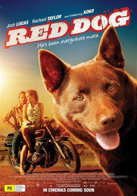 Red Dog Movie Posters From Movie Poster Shop