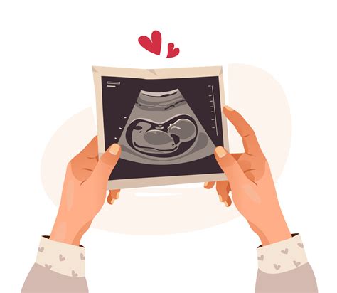 Hands holding a photo of a baby on ultrasound scan in the womb. Ultrasound of the child ...