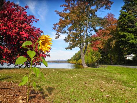 Berkshires fall foliage photos » Berkshire Links