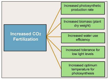 Plant Response to Rising Carbon Dioxide – Climate, Forests and Woodlands