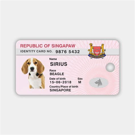 Custom Singapaw / Singapore NRIC-inspired pet ID tag for dogs and cats – Pawdigy