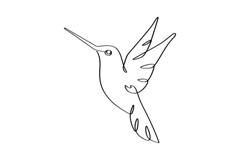 One-line Drawing of Hummingbird Linear Graphic by subujayd · Creative ...