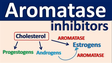 Aromatase inhibitors - YouTube
