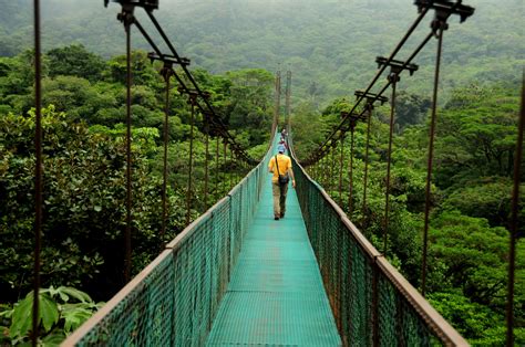 Costa Rica's Sky Walk offers visitors a 3.6km trail system through primary rainforest that ...