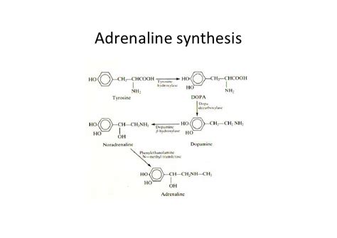 2 Pharmacology Pharmacodynamics