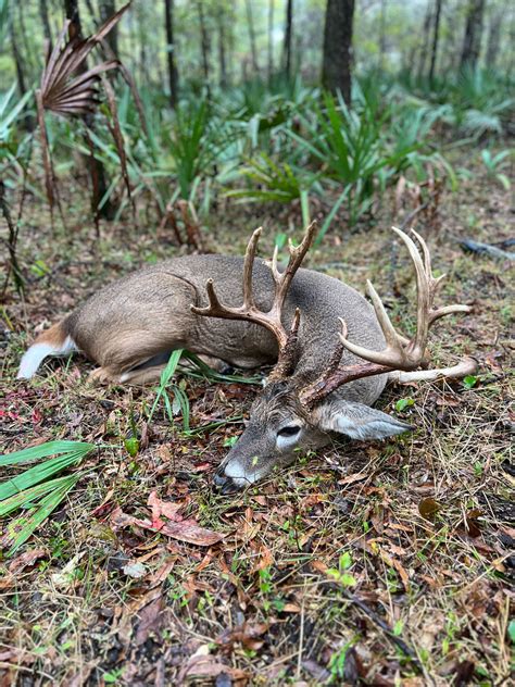 Ben-White-3 - Louisiana Sportsman