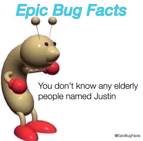 Epic bug facts : r/CoolBugFacts