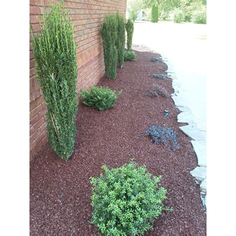 Rubber Mulch for Landscaping